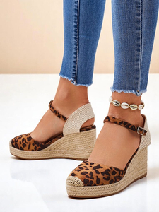 Camel || inny kolor
