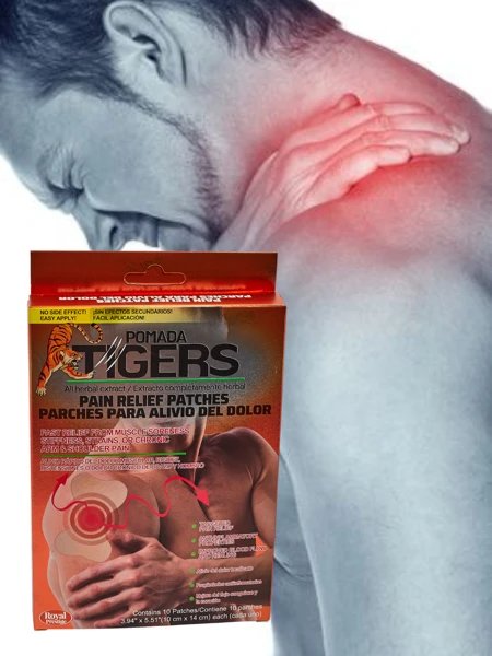 Fájdalomcsillapító tapaszok 10 darab