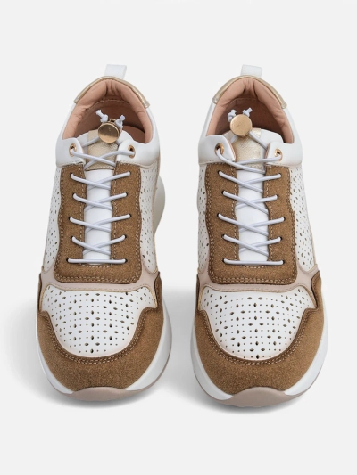 Royalfashion Női Wedge Sportcipők Zerrni